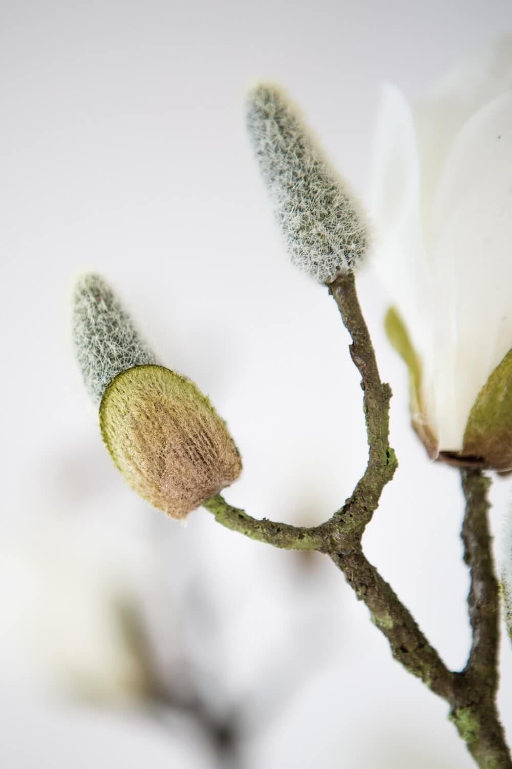 Januar Deko mit Zweigen