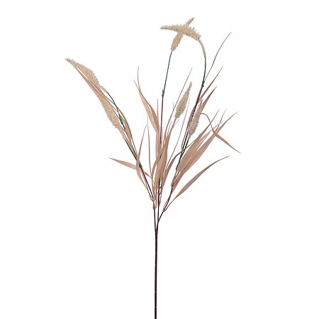 Bild 1 - Fink Living GRAS creme