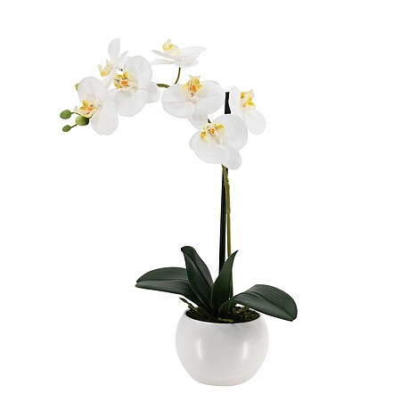 Bild 1 - Kunstblumen Orchidee getopft wei�