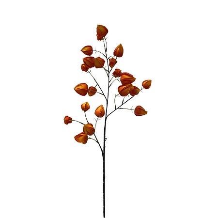 Bild 1 - Kunstblumen Physaliszweig