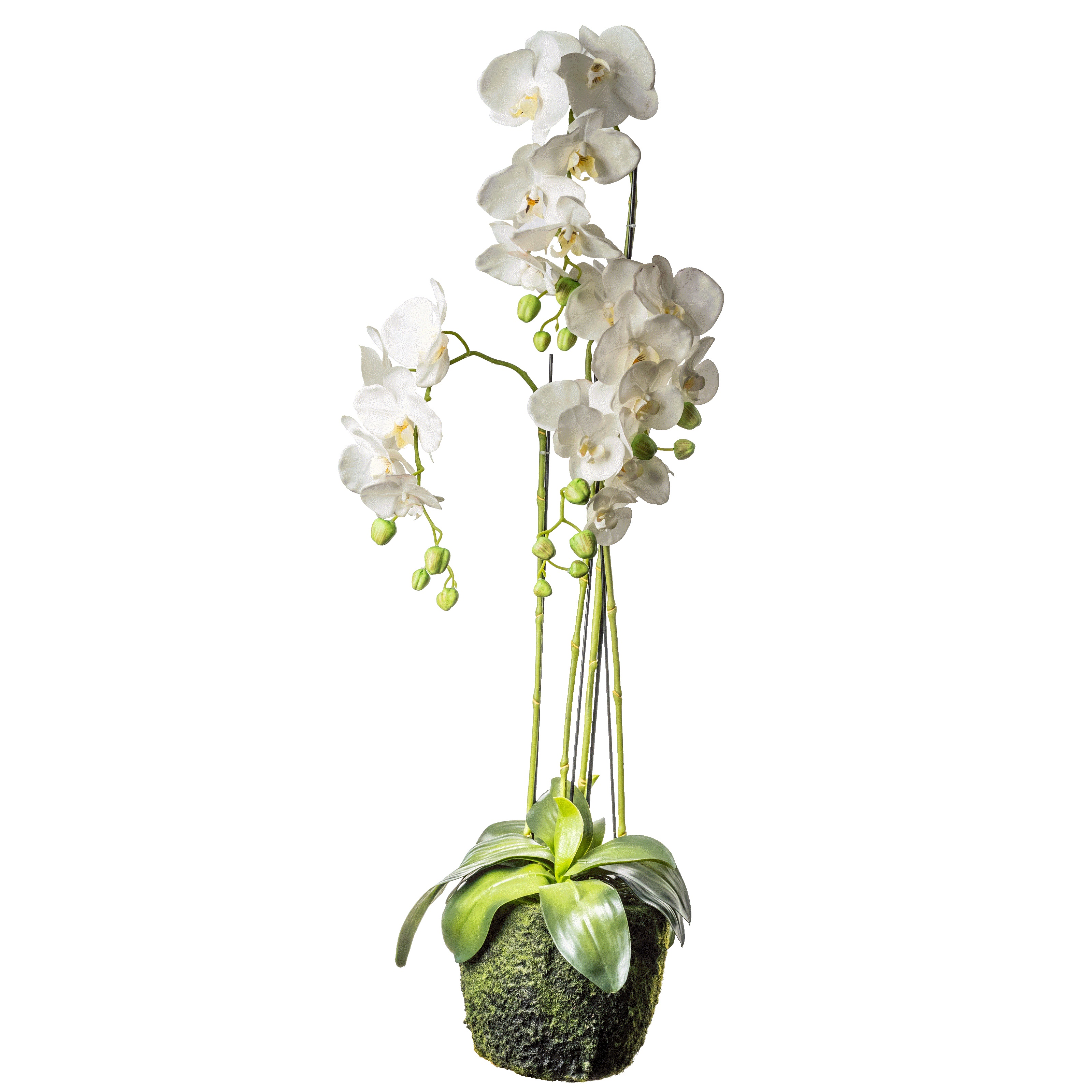 Kunstblumen Orchidee Phalaenopsis