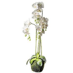 Kunstblumen Orchidee Phalaenopsis